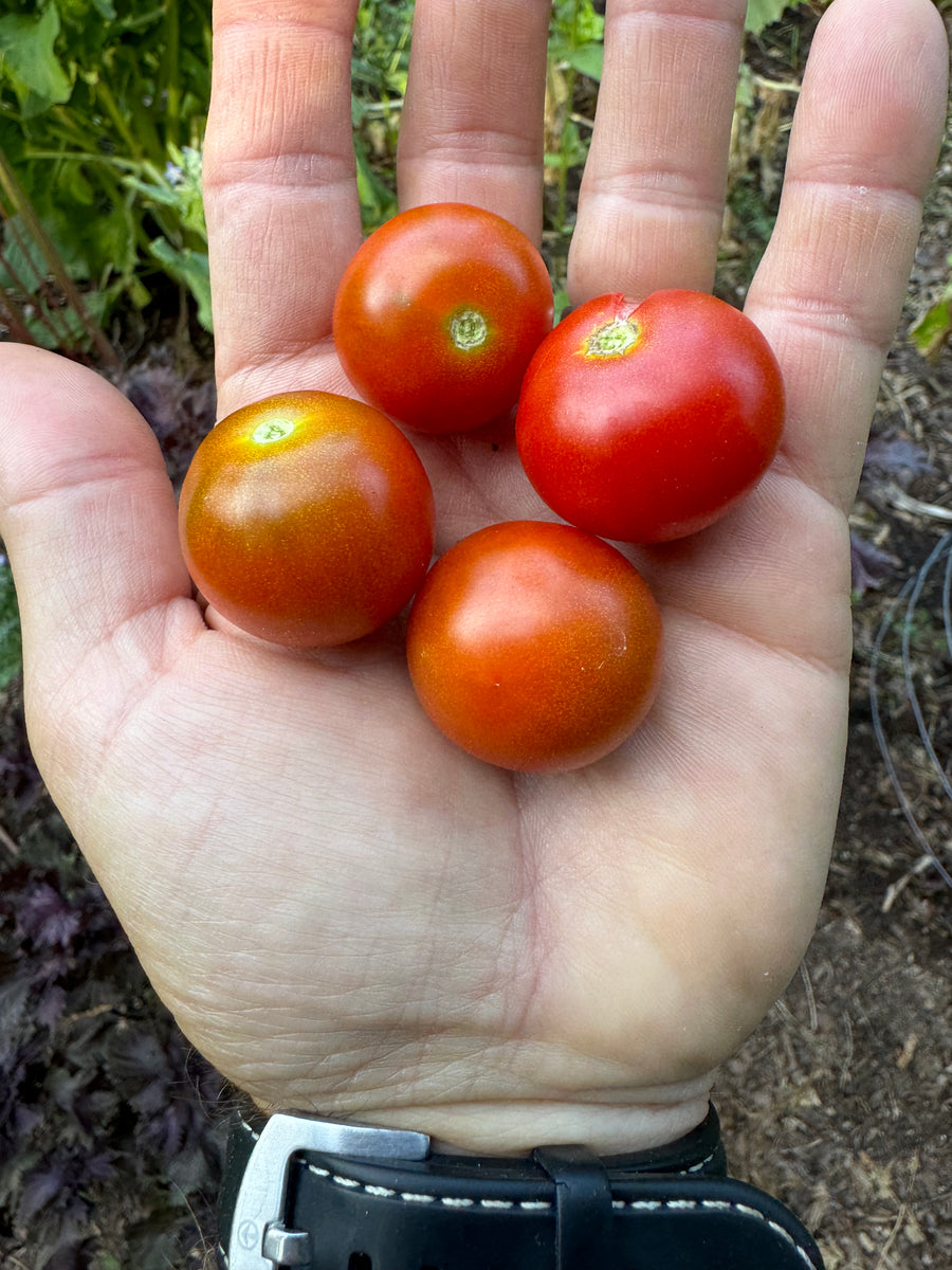 813B7E42-5F54-4970-A5CF-