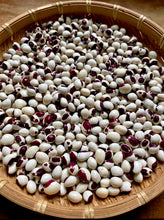 Bean (Red-Eye Greasy Bean)