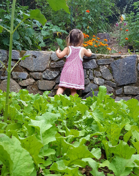 Gardening with Kids: Kids Seed Co. "Garden in a Bag" seeds. Asheville, NC.