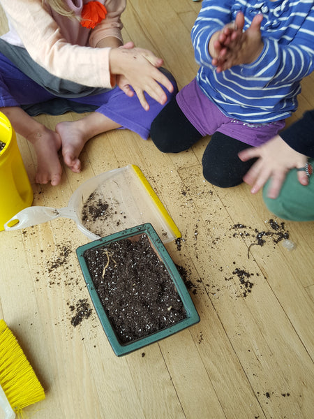 Indoor Winter Gardening with kids: Planting onions