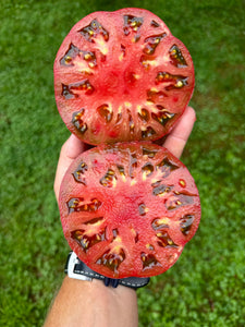 Introducing the Red Trash Panda Tomato