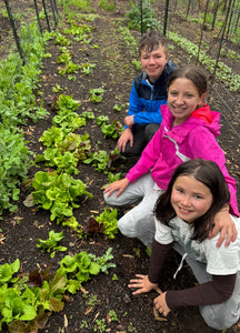 The Art & Science of Companion Planting: Growing a Thriving Garden