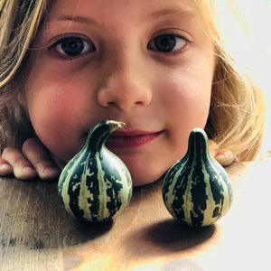 Asheville Grown Garden Seeds- The 2019 Kids Seed Co. Catalog