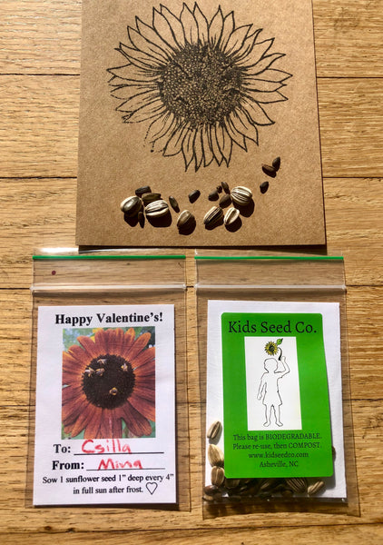 Valentine's Day Sunflower Seed Packs