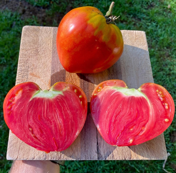 Hungarian Heart Tomato Seeds