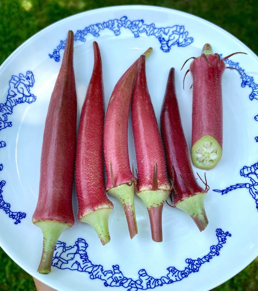 Okinawa Pink Okra - Heirloom Seeds