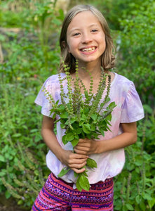 Holy Basil: A Sacred Herb and How to Grow It