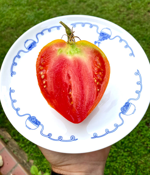 Coeur De Boeuf Tomato
