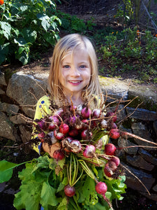 Gardening with Kids: Radishes and lessons on optimism