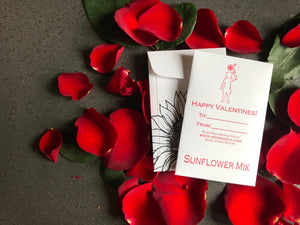 Unique Valentine's Day Cards: Sunflower seed packs from Kids Seed Co.