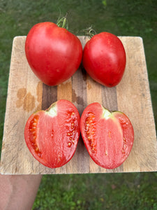 Tomato (Rose de Cagnolle Tomato)