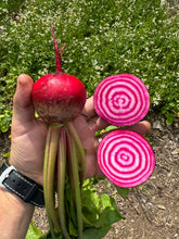 Collection (Italian Seed Varieties)