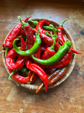 Pepper (Manganji Sweet Pepper)