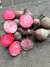 Beet (Chioggia, Bassano)