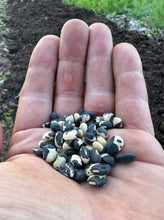 Bean (Lowcountry Black-eyed Pea)
