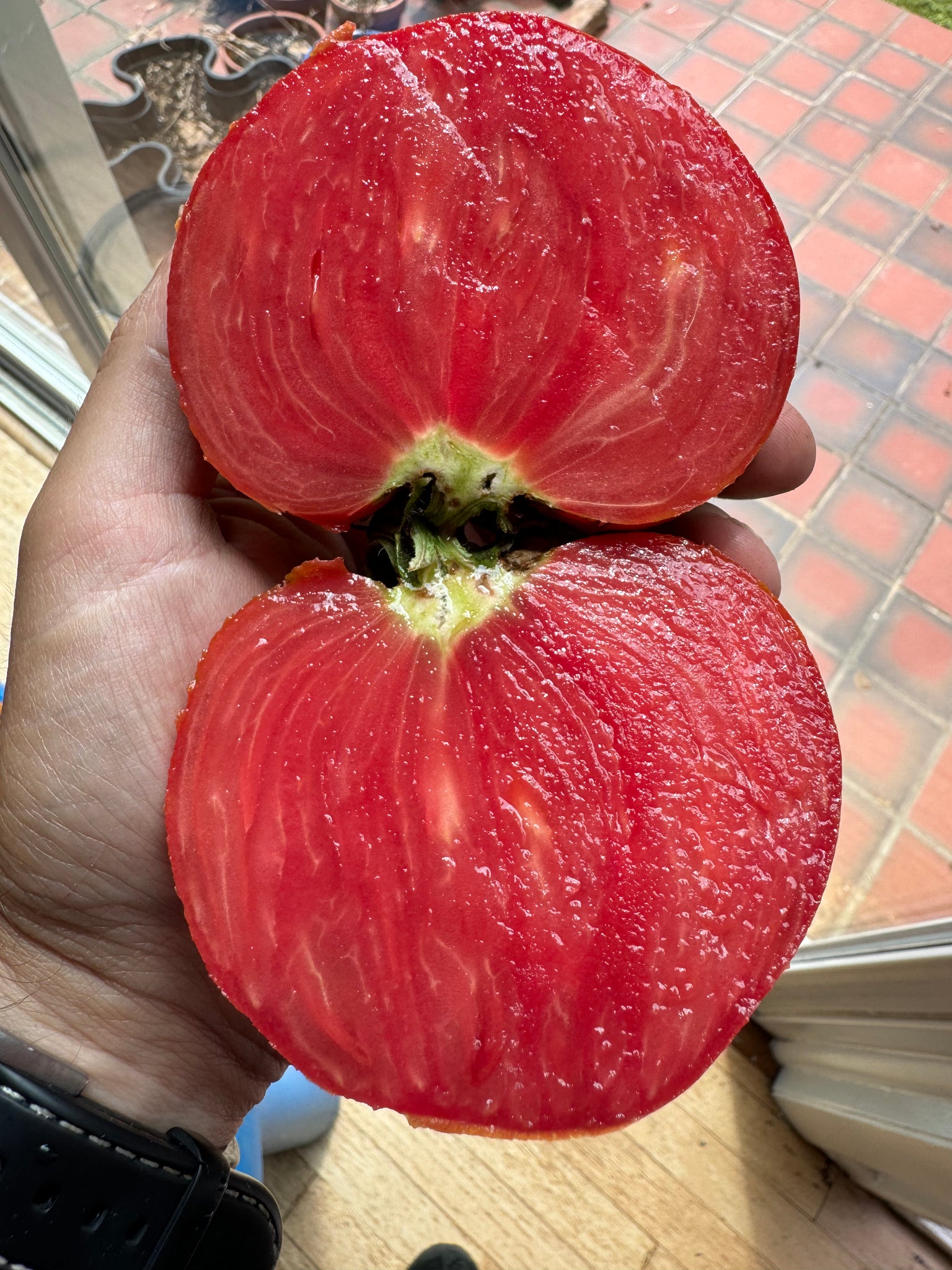 rose de berne tomato seeds Tomato (Rose de Berne