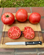 Tomato (Rose de Berne - Riviera Strain)