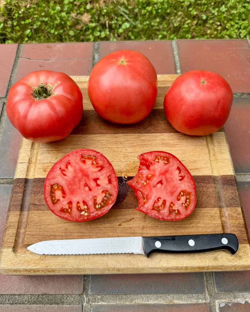 Tomato (Rose de Berne - Riviera Strain)