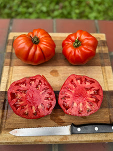 Tomato (Château de Chartres Tomato)