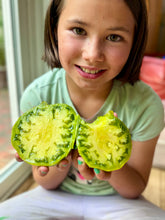 Tomato (Tennessee Green Tomato)