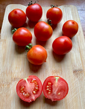 Tomato (Tondo con Pizzo Long-keeper Tomato)