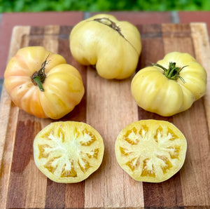 Tomato (Spanish White Tomato)