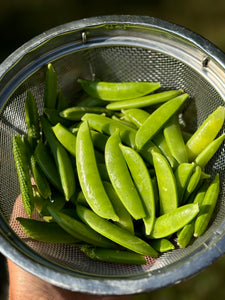 Sugar Snap Peas