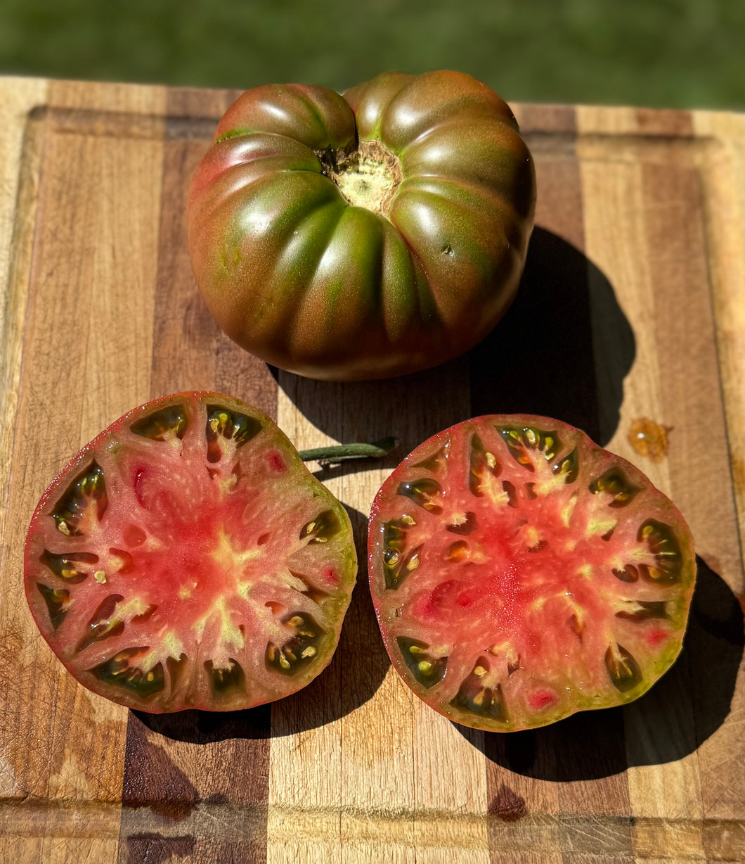 Tomato (Red Trash Panda Tomato)