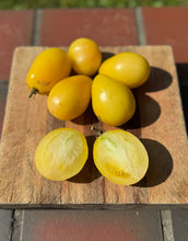 Tomato (Old Ivory Egg Tomato)