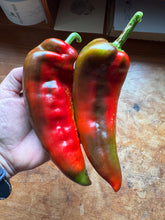 Pepper (Sweet Ajvarski Pepper)