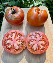 Tomato (Bola Yucatán  Kanacin  Tomato)