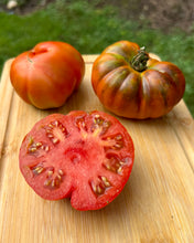 Tomato ( Saint Vincent de Paul Tomato)