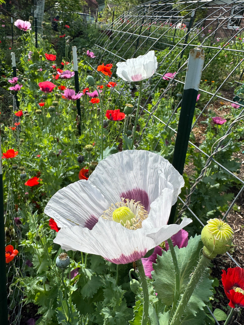 7983D073-1097-48D1-8AEF-