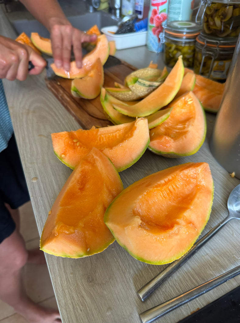 Melon (Charentais Melon)
