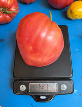 Tomato (Holy Myrrhbearer Tomato)
