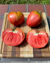 Tomato (Hurricane Helene Tomato)