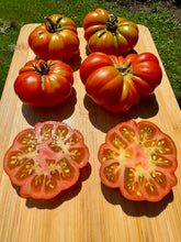 Tomato (Costoluto San Remo Tomato)
