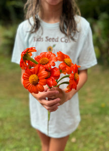 Tithonia (Mexican Sunflower)