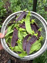 Snow Peas (Big Packet Mix)