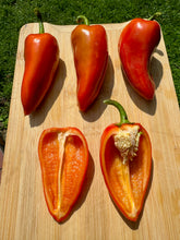 Pepper (Kapia Sweet Pepper)