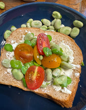 Fava Bean