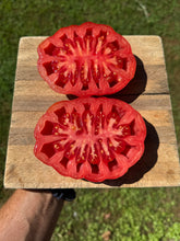 Tomato (Italian Assisi Tomato)