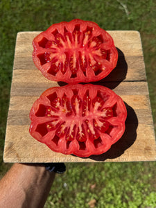 Tomato (Italian Assisi Tomato)