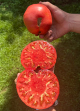 Tomato (Bacon, Lettuce & This Tomato)