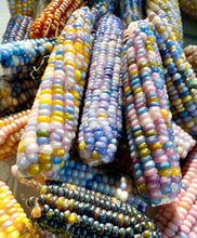 Corn (Glass Gem Corn)