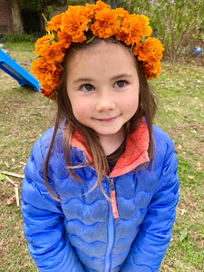 Mexican Marigold (Cempasúchil)