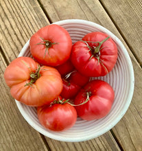 Tomato (Mortgage Lifter Tomato)