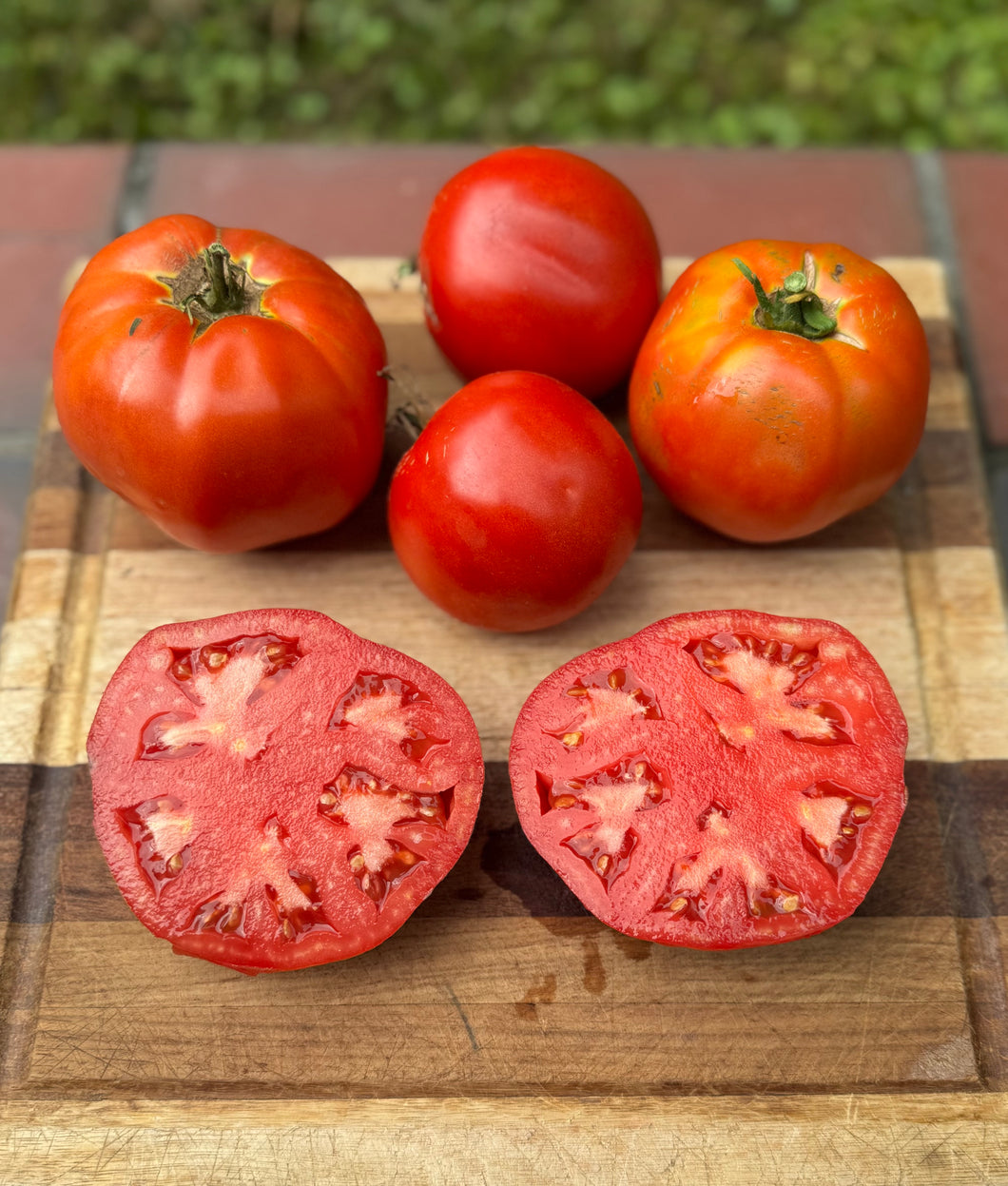 Tomato (Cold Mountain Tomato)
