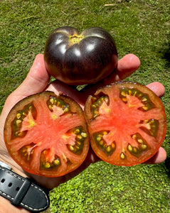 Tomato (Black Beauty Tomato)