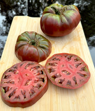 Tomato (Red Trash Panda Tomato)